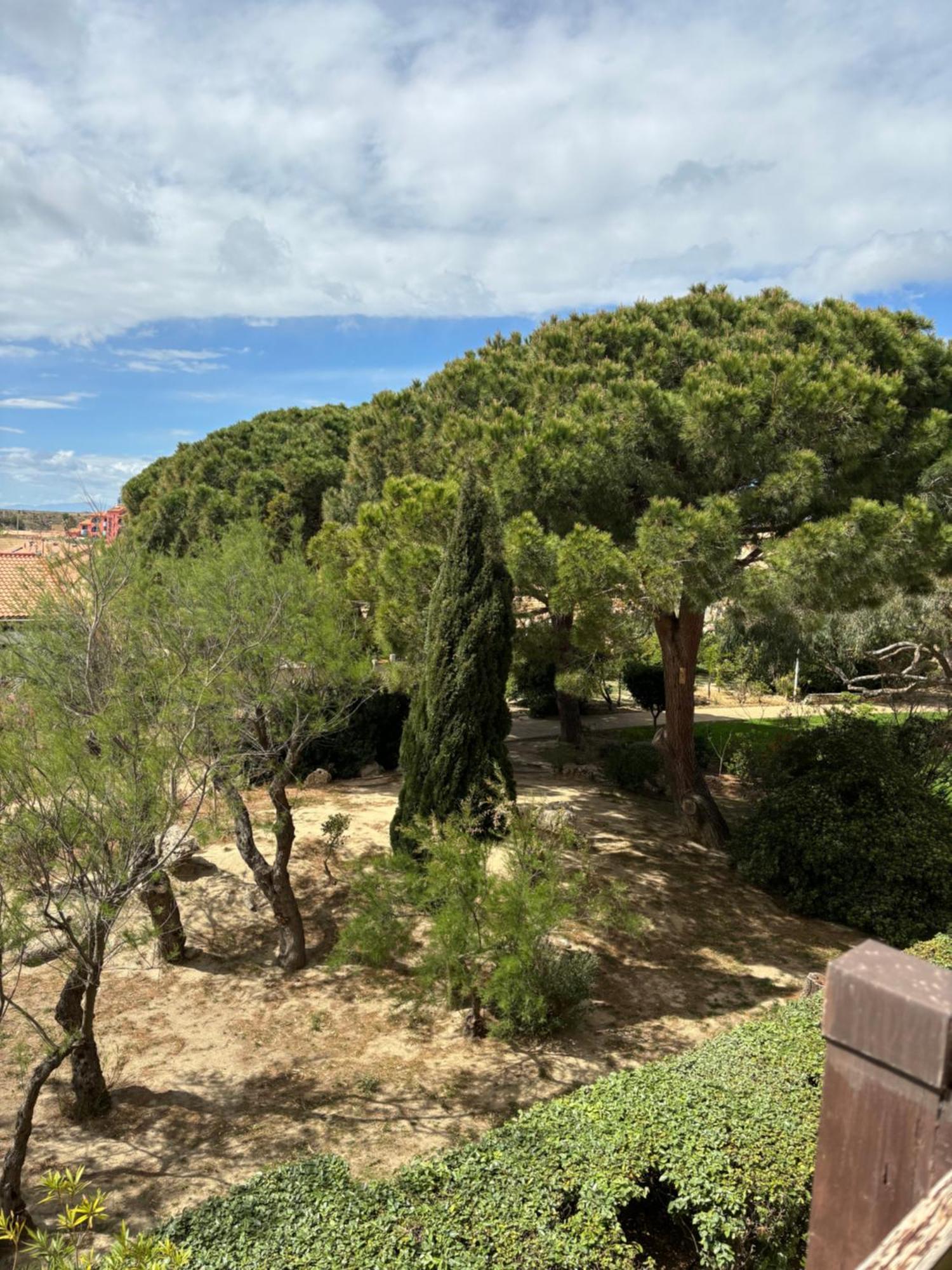 Appartement T2 Tout Equipe Leucate Εξωτερικό φωτογραφία
